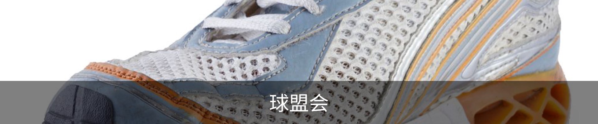 球盟会